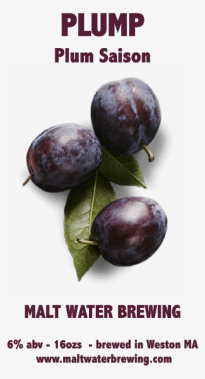Plum Saison - Plump - Plum