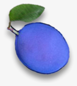 Blue Plum Software - Blue Plum