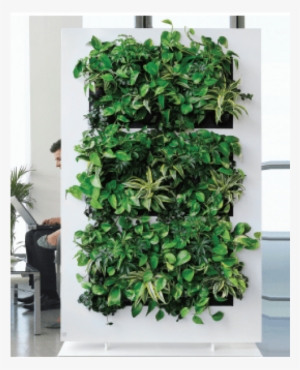 Previous Next - Live Picture Divider