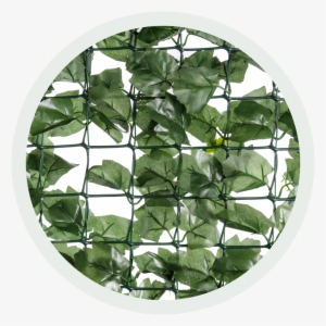 1m X - Circle