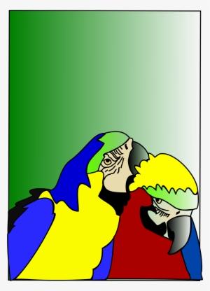 Pajaros Png