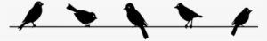 Vinilo Decorativo Silueta De Pájaros En Cables - Pajaros En Una Cuerda