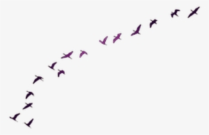 Report Abuse - Game Of Thrones Every Flight Begins