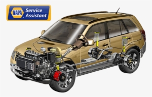 Napa Service Assistant Auto Repair Fort Collins - Napa Auto Parts