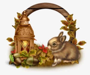 Cadre Png, Lapin - Rabbit