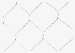 Divisional Nets And Canvas - Mesh