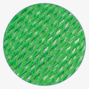 Product-netting - Net