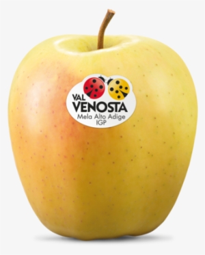 Golden Delicious Golden Delicious - Mele Golden Val Venosta