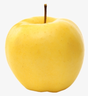 Project Description - Mindful Snacks