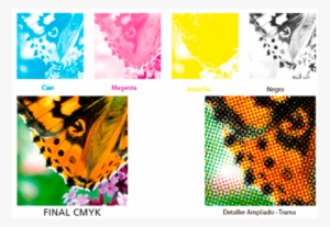 Como El Cerebro Es Capaz De Percibir Patrones De Ángulos - Cmyk Printing Process