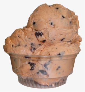 Orange Custard Chocolate Chip - Babcock Hall Dairy Store