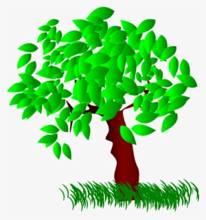 Tree Large Leaves Clip Art At Clipartimage - Tree Leaves Clip Art