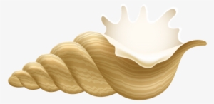 Conch Png Clip Art - Conch Clipart