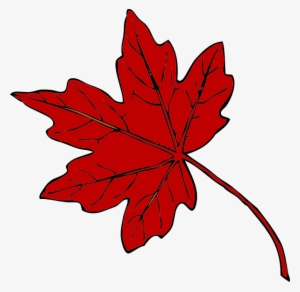 Red Maple Leaf Clipart