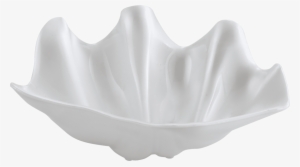 Free Png Conch Png Images Transparent - White