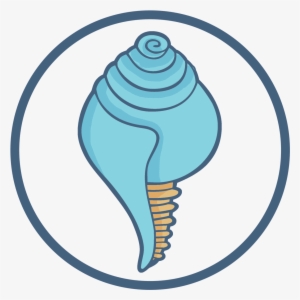 Conch Shell Of Buddhism