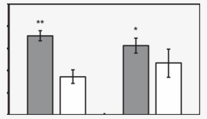 Anthocyanin Content Of Red Leaf Lettuce Grown For 20 - Diagram