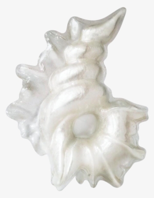 Monumental Roger Rougier Illuminated Lucite Conch