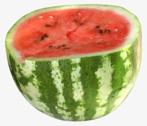 Tube Fruit - Watermelon