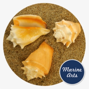 Chalkboard Class Of Graduation Gift Stickers