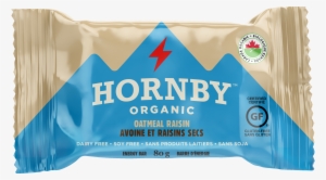 Oatmeal Raisin Energy Bar - Chocolate