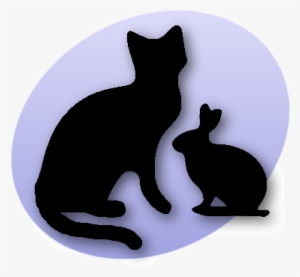 Rabbit&cat3 - Pet