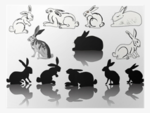 Twelve Hare And Rabbit Silhouettes On White Poster - Leporids