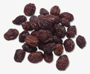 Raisins Are In Talenti Oatmeal Raisin Cookie Gelato - Oatmeal Raisin Cookie