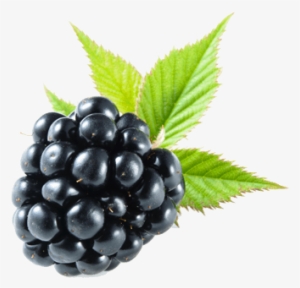 Blackberry Png - Blackberry Fruit No Background