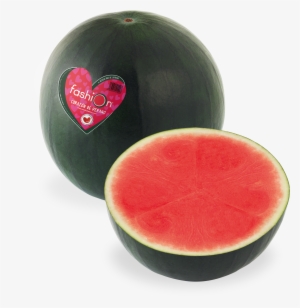 Sandiafashion - Fashion Watermelon