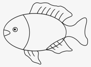 Draw Fish-outline - Step - Drawing
