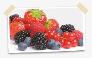 Best Of Berries - Blackberry