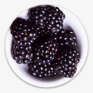 Blackberries - Blackberry