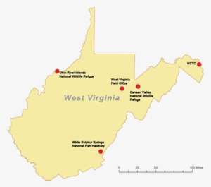 West Virginia Field Office - West Virginia State Mirror License Plate - Black