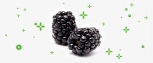 Our Philosophy Is Based On The Sole And Essential Objective - Blackberry