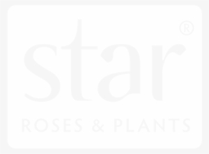 Srp Logo2 - Kolte Patil, Ivy Estate Sales Office