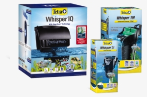 An Aquarium Filter Not Only Cleans The Water Your Fish - Tetra