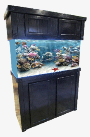 Tank R&j Stand Bk Oak Sig 48x18 {bin-2} Sd-x Free