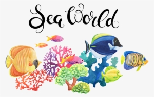 Hand Drawn Fish Tank In The World Png Transparent - Fish
