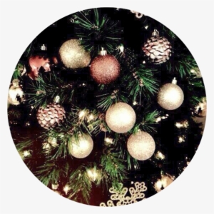 Aesthetic Background Christmas Tree Trees Light Lights - Christmas Lockscreen
