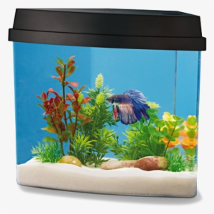 1 - 2 Gallon - National Geographic 2 Gallon Fish Tank