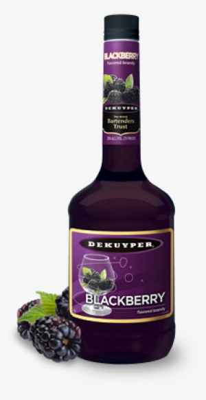 Dekuyper Blackberry Brandy - Dekuyper Ragin Root Beer