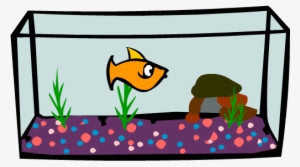 06, August 6, 2010 - Club Penguin Puffles