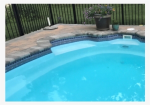 80 Feet Do It Yourself Designer 9in Mardi Gras Pattern - Inch