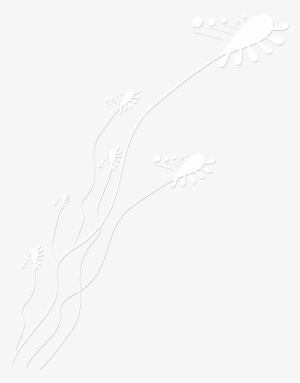 Adornos Para Photoshop Destellos, Colgantes, Estrellas - Portable Network Graphics