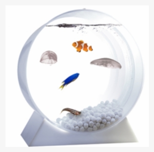 Jellyfish Tank For The Desktop - Jellyfish And Fish Tank