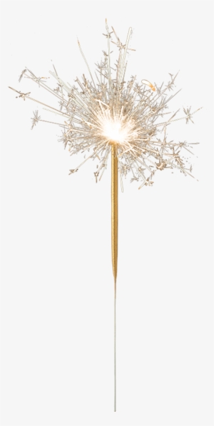 Vela Cometa Dourada - Dandelion