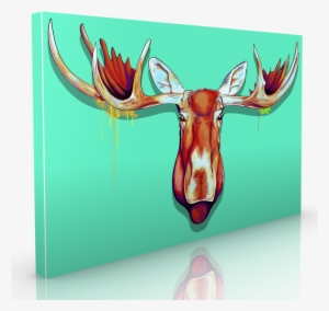 Maxwell Dickson ''moose Head'' Graphic Art On Canvas,