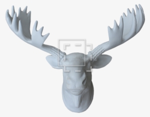 Moosehead Front View - Reindeer