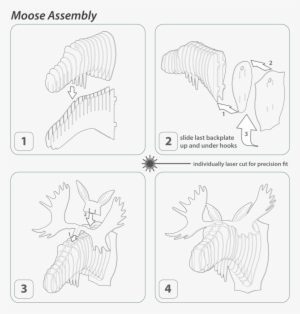 Fred The Birch Wood Moose Head - Diagram